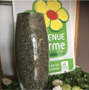 Lentilles AOP Le rocher du blot